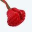 Festive TPR Treat Bell Tug Rope Dog Toy