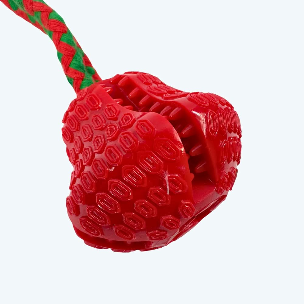 Festive TPR Treat Bell Tug Rope Dog Toy