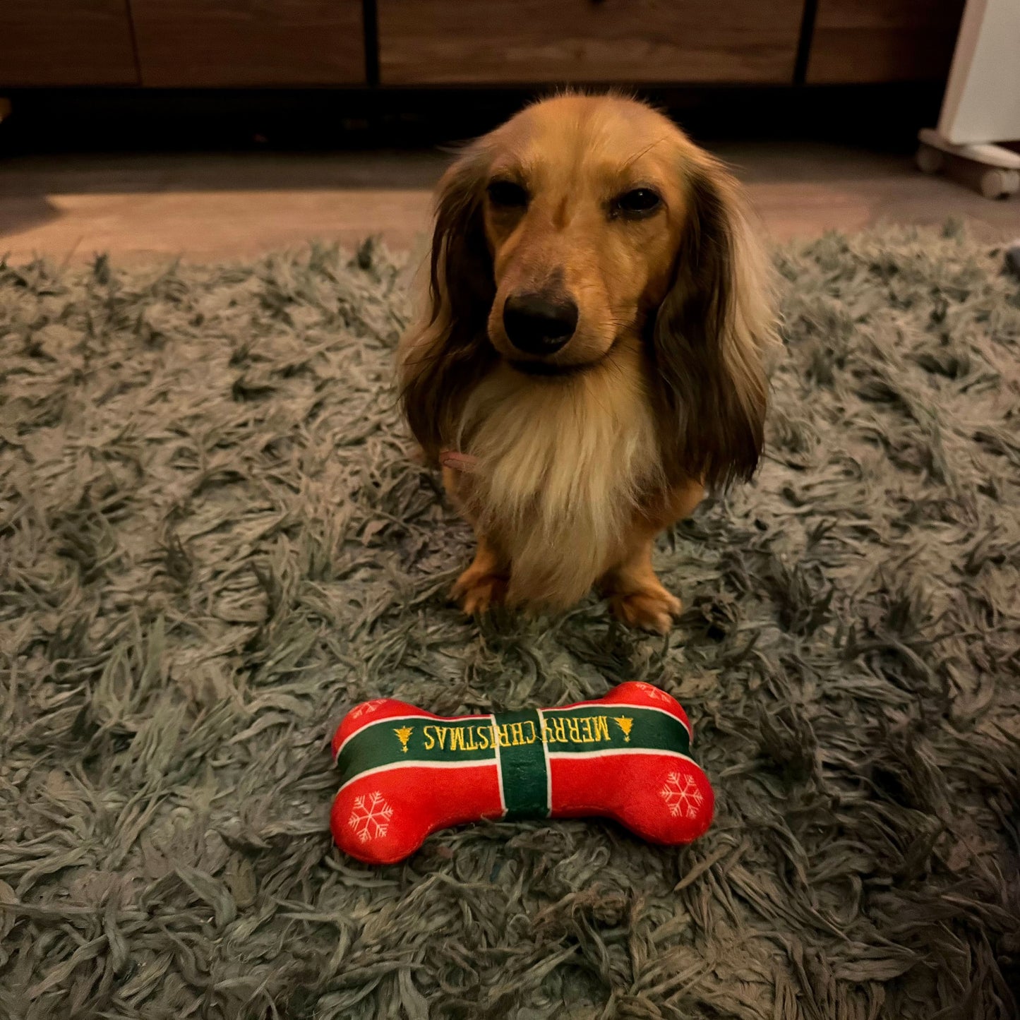 Merry Christmas Plush Bone Dog Toy