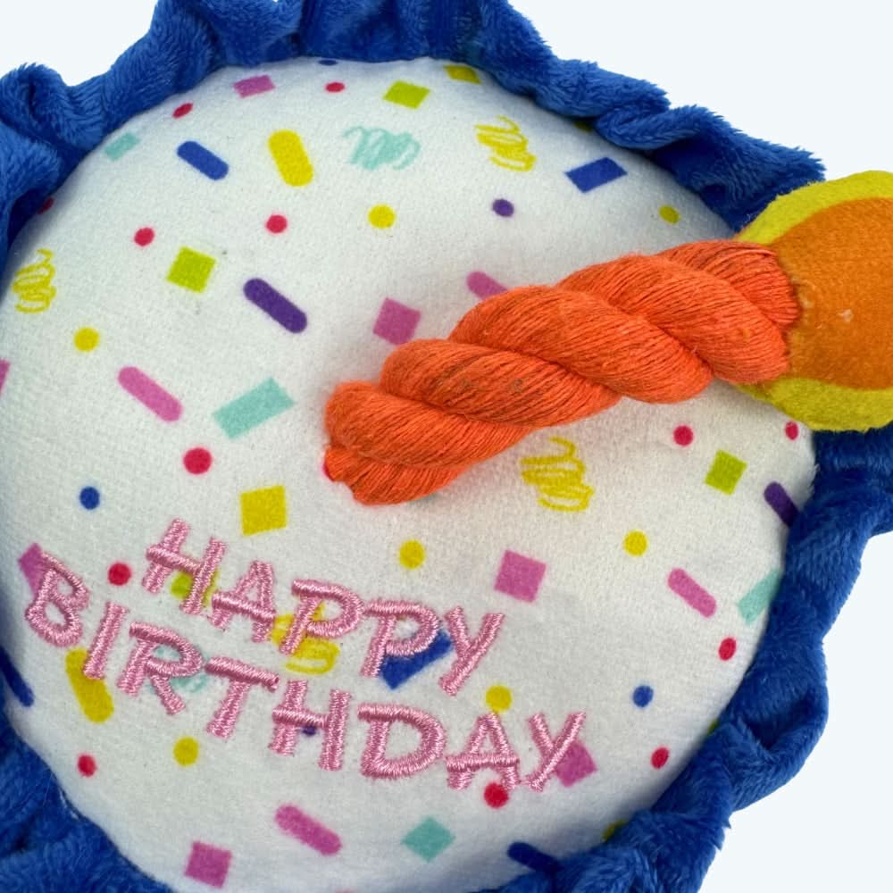 Happy Birthday Candle Plush Dog Toy