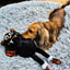 Happy Halloween Plush Bat Dog Toy