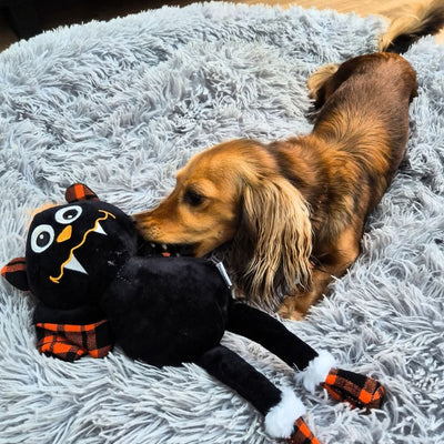Happy Halloween Plush Bat Dog Toy