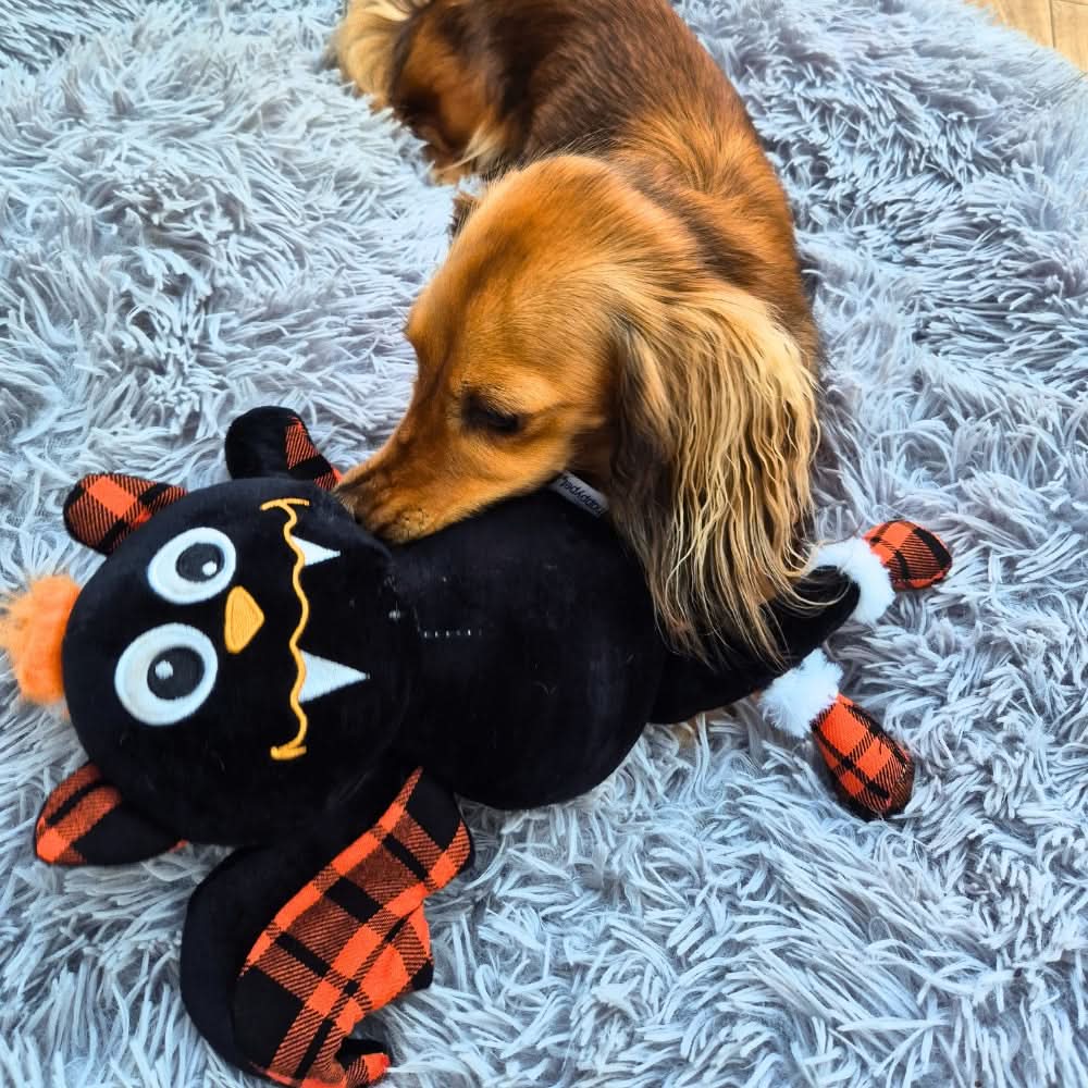 Happy Halloween Plush Bat Dog Toy