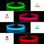 Night Safety Flashing Dog Collar