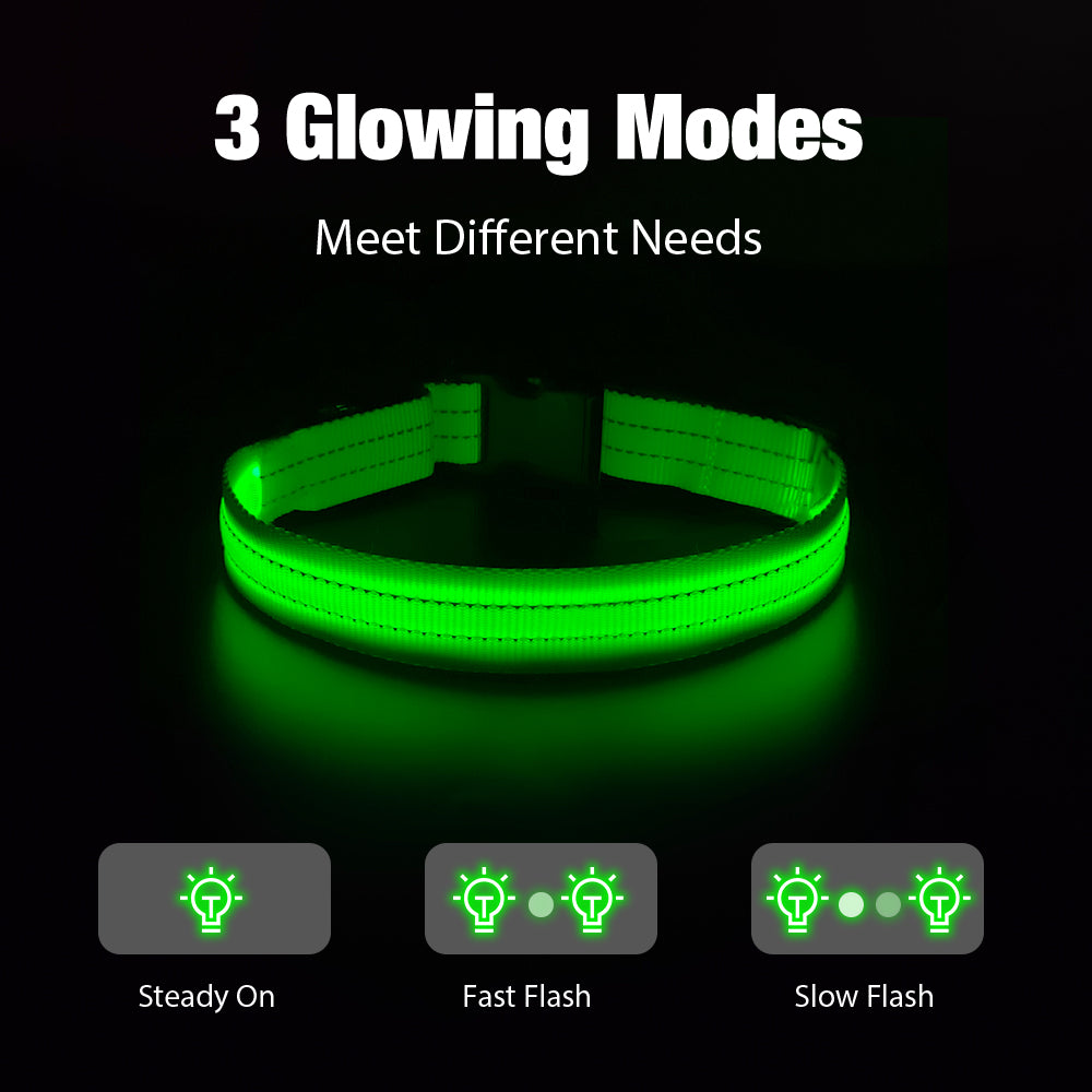 Night Safety Flashing Dog Collar