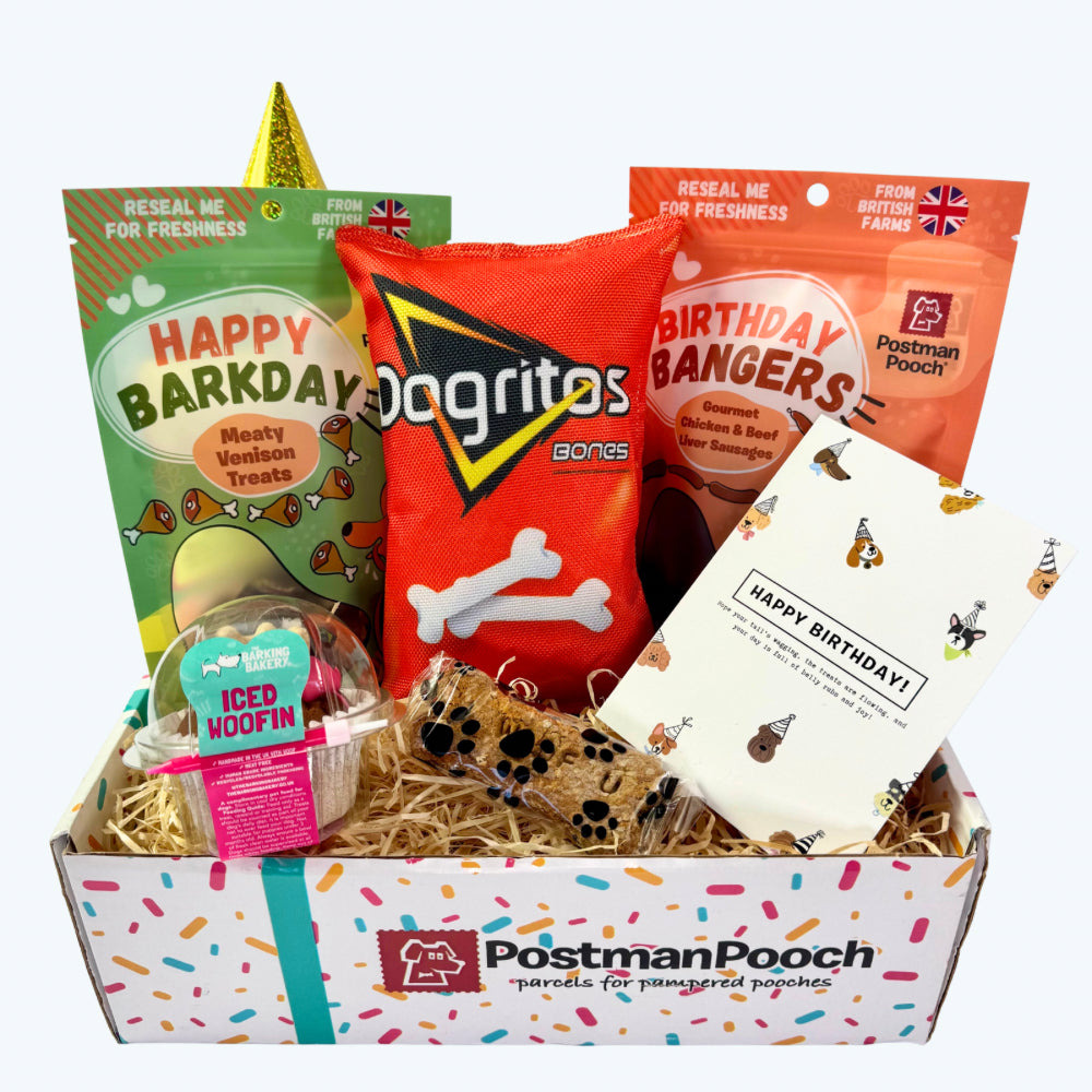 Treats Galore Dog Birthday Box