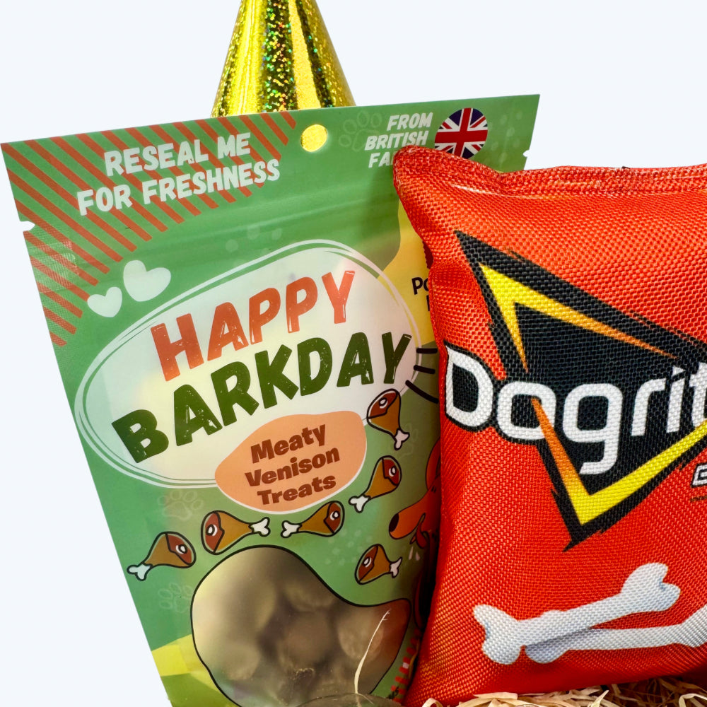 Treats Galore Dog Birthday Box