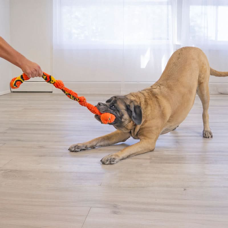 KONG Knots Snake