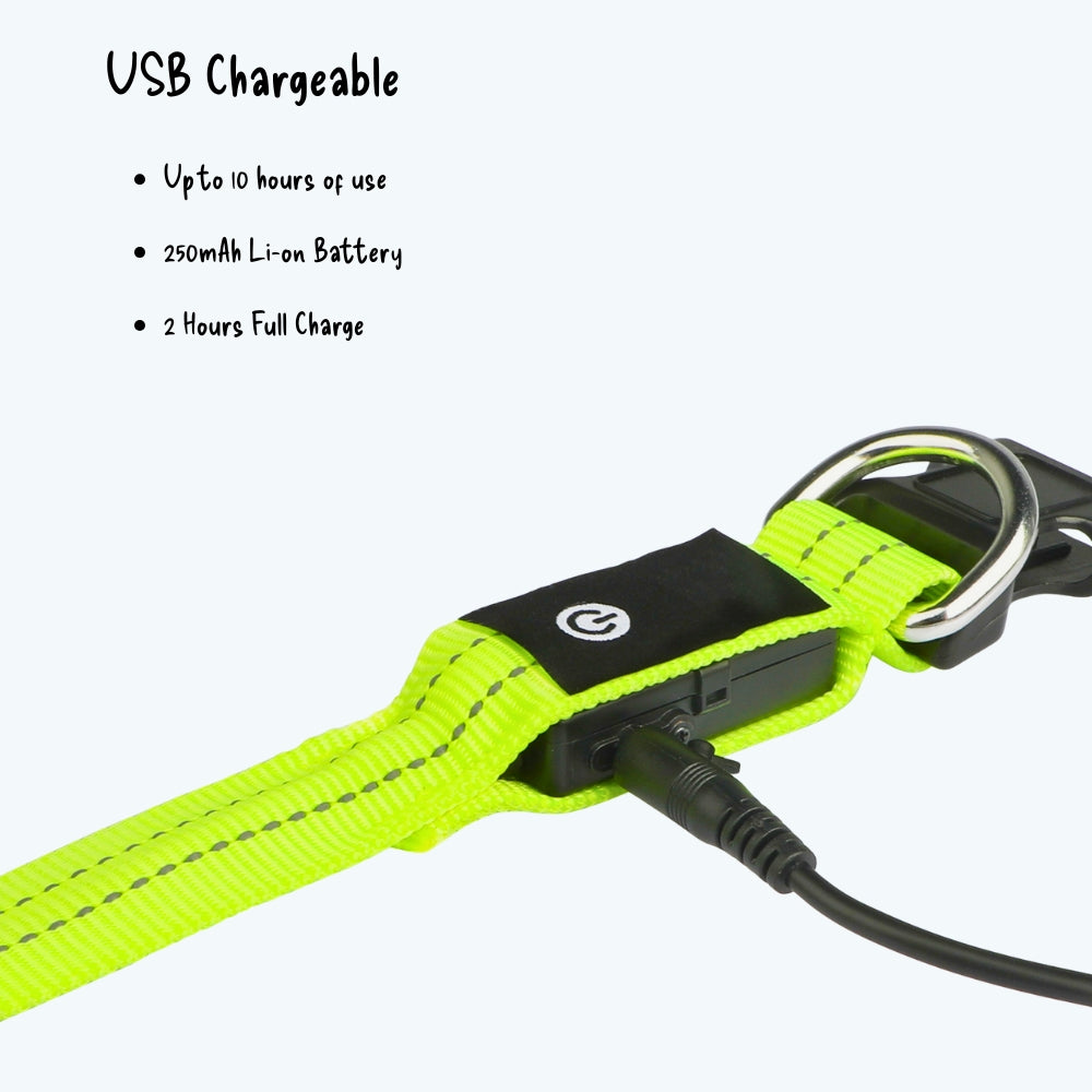 Night Safety Flashing Dog Collar