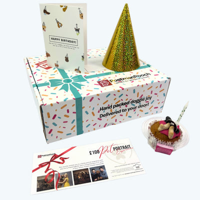 Build a Dog Birthday Box