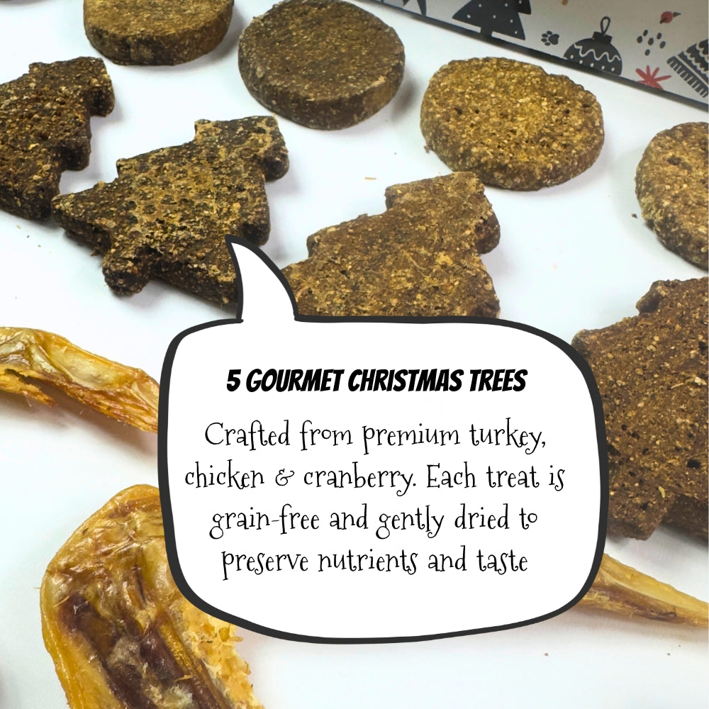 50 Piece Festive Natural Dog Treat Bundle