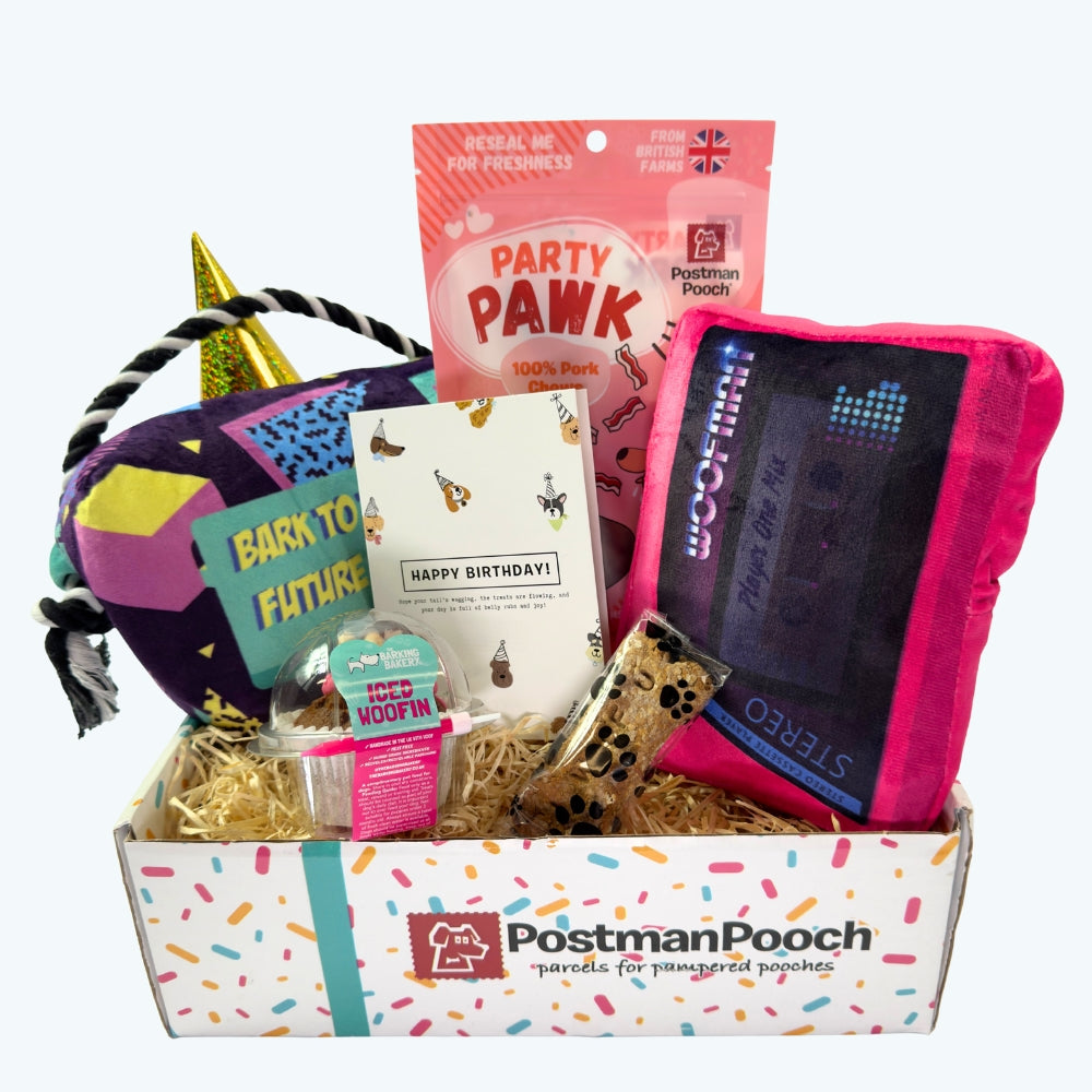 Bark to The Future Dog Birthday Box

