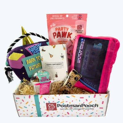 Bark to The Future Dog Birthday Box
