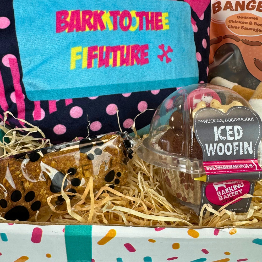 Bark to The Future Dog Birthday Box