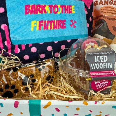 Bark to The Future Dog Birthday Box