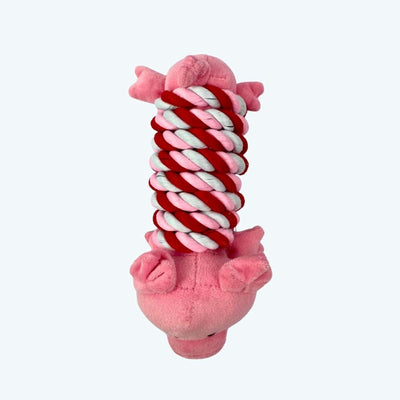 Pig in a Rope Blanket Dog Toy