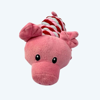 Pig in a Rope Blanket Dog Toy