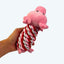 Pig in a Rope Blanket Dog Toy