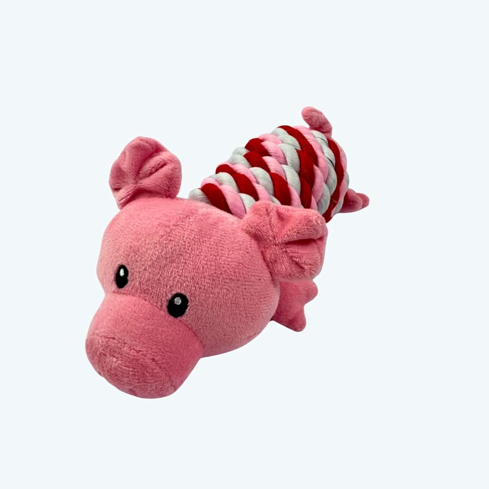 Pig in a Rope Blanket Dog Toy