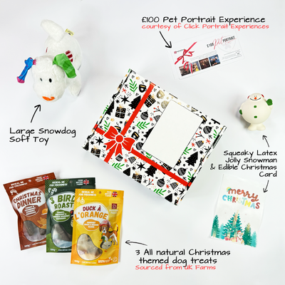 Winter Wonderland Dog Christmas Box