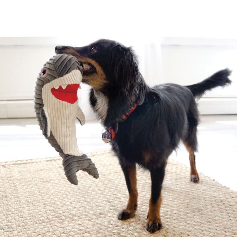KONG Cuteseas Rufflez Shark