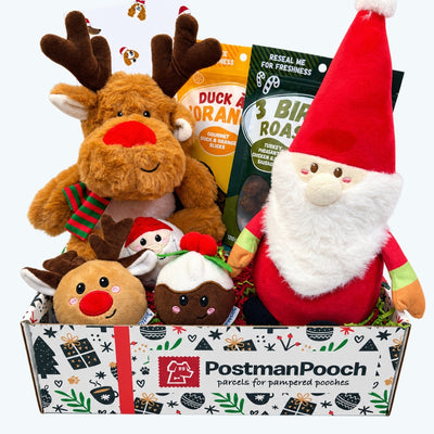 Rudolphs Top Toys Dog Christmas Gift Box