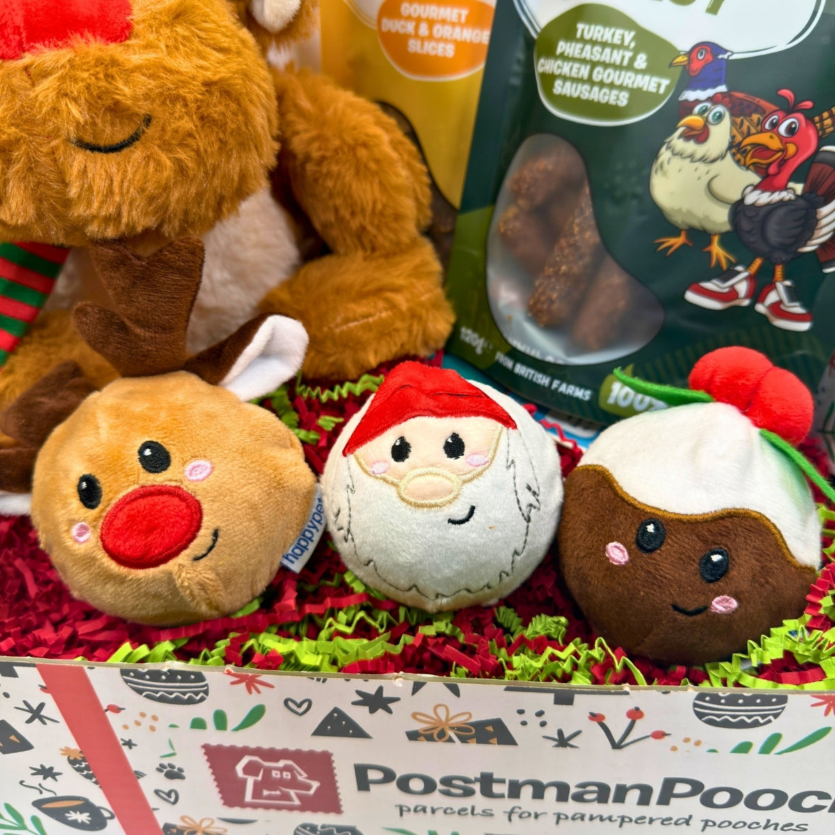 Rudolphs Top Toys Dog Christmas Gift Box