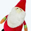 Santa Paws Xmas Dog Toy 