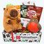 Soft Toy Dog Christmas Gift Box
