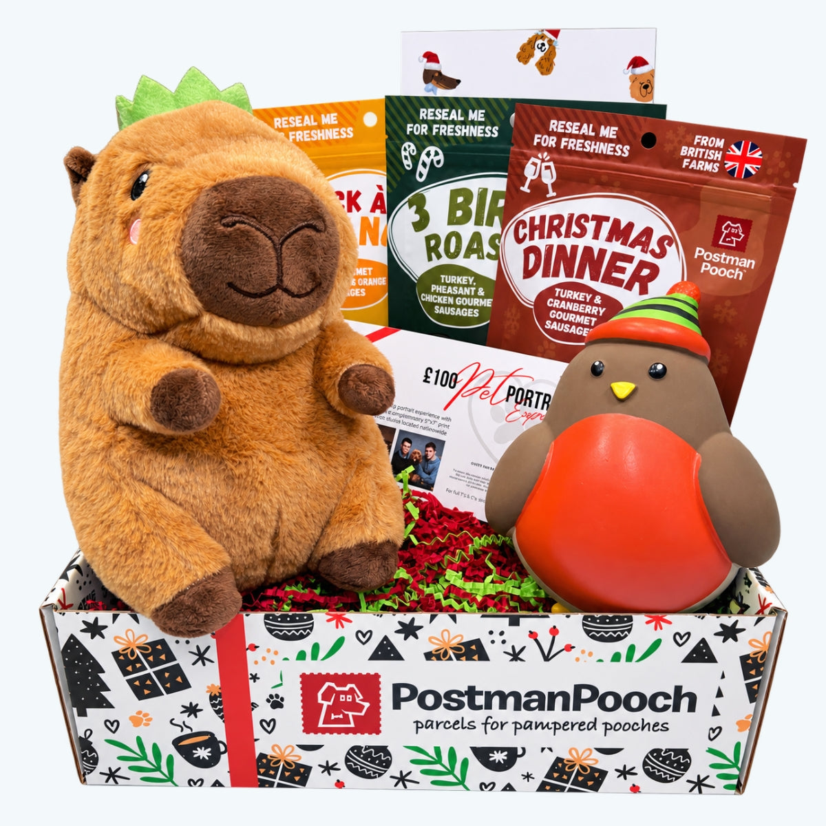 Soft Toy Dog Christmas Gift Box