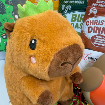 Soft Toy Dog Christmas Gift Box