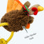 Trevor the Christmas Turkey