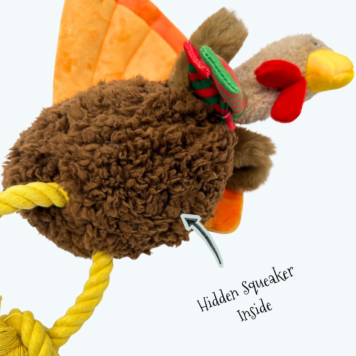 Trevor the Christmas Turkey