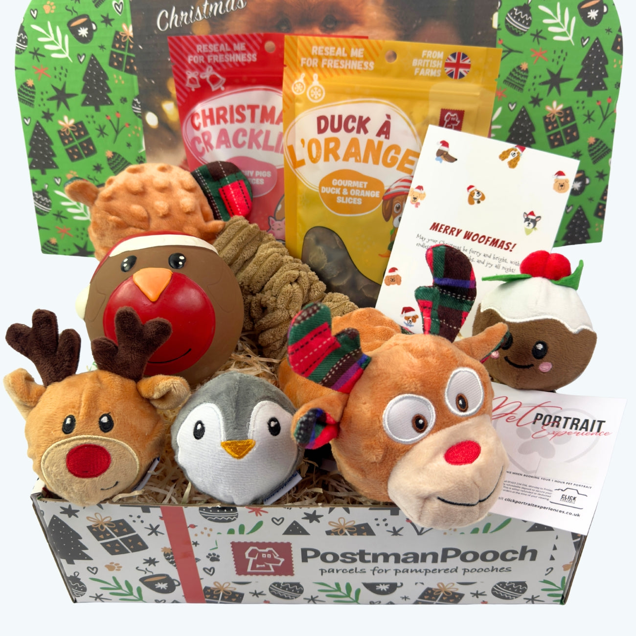 Rudolphs Top Toys Dog Christmas Gift Box