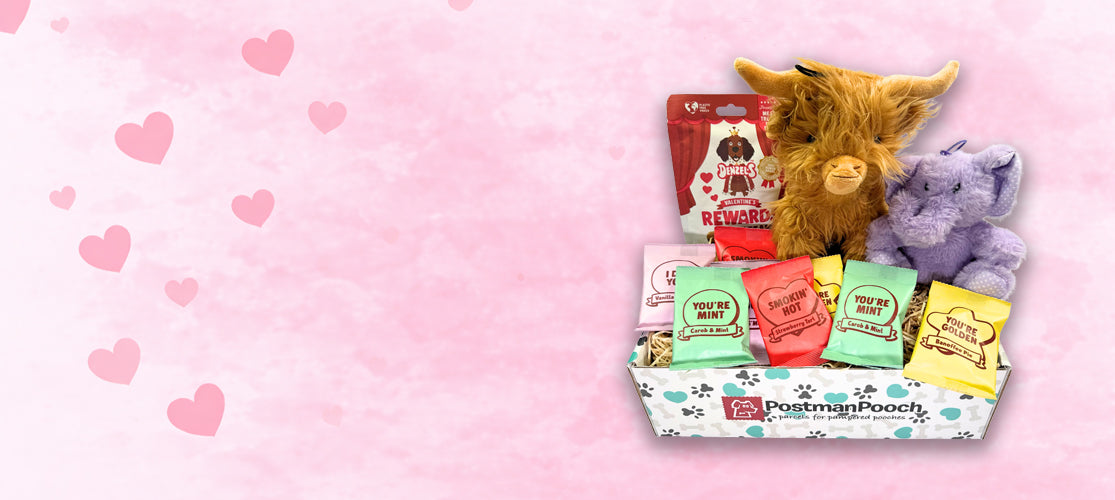 valentines dog gift box