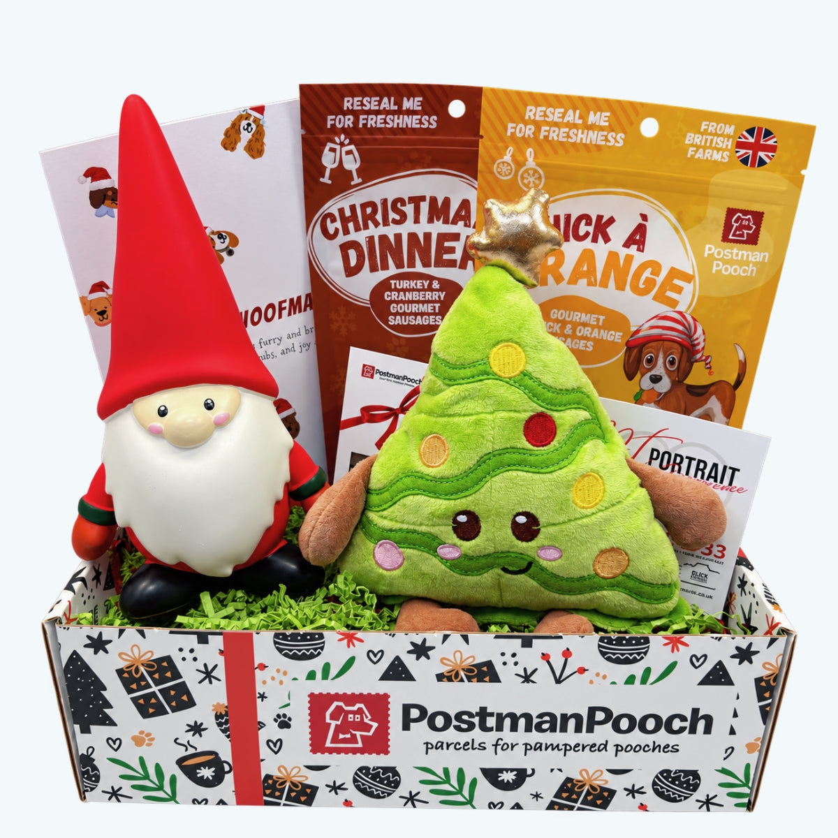Winter Wonderland Dog Christmas Box