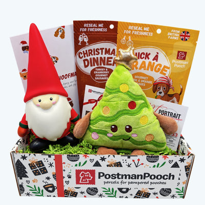 Winter Wonderland Dog Christmas Box