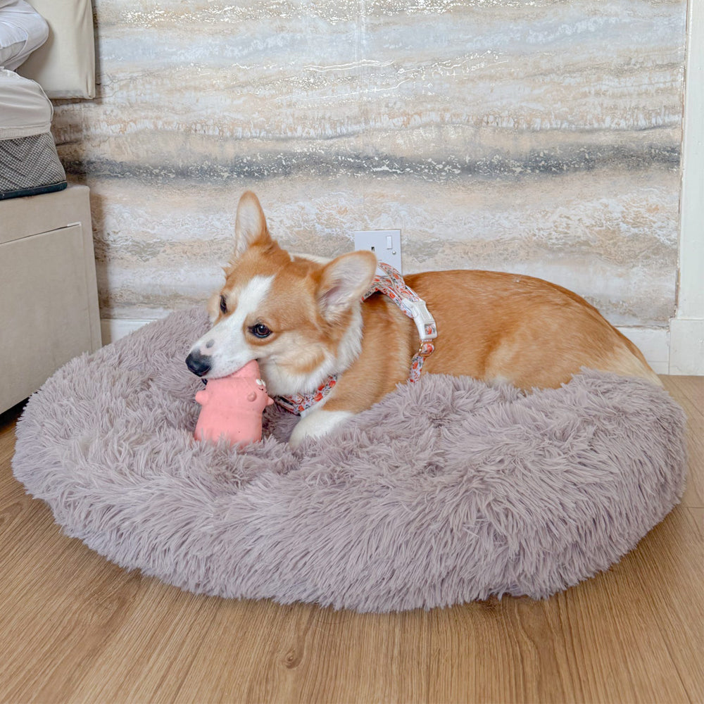 Dog Anxiety Bed