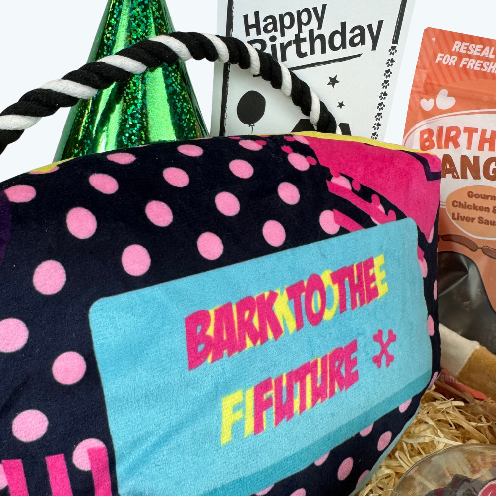 Bark to The Future Dog Birthday Box