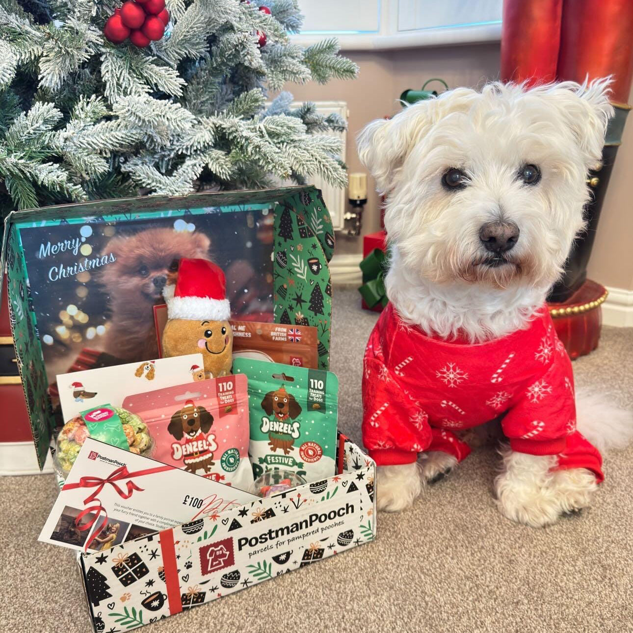 Dog Christmas Box