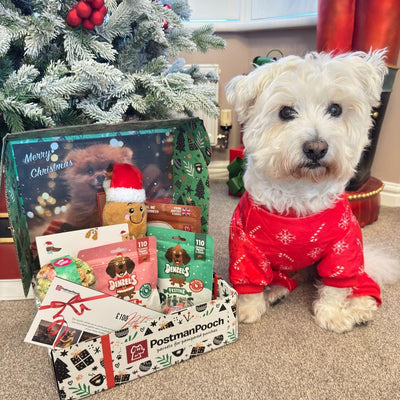 Dog Christmas Box