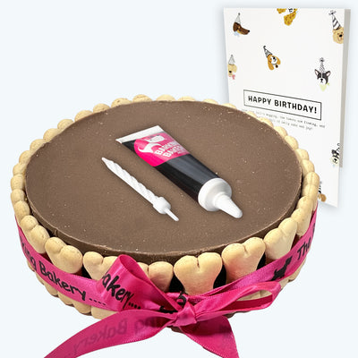 Dog Birthday Cake, Icing Pen & Card - White