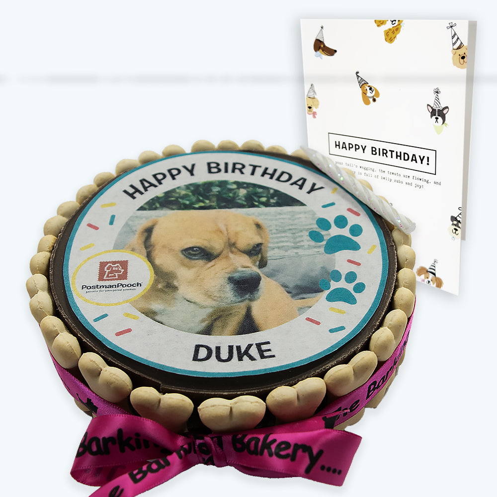 Dog Birthday Cake
