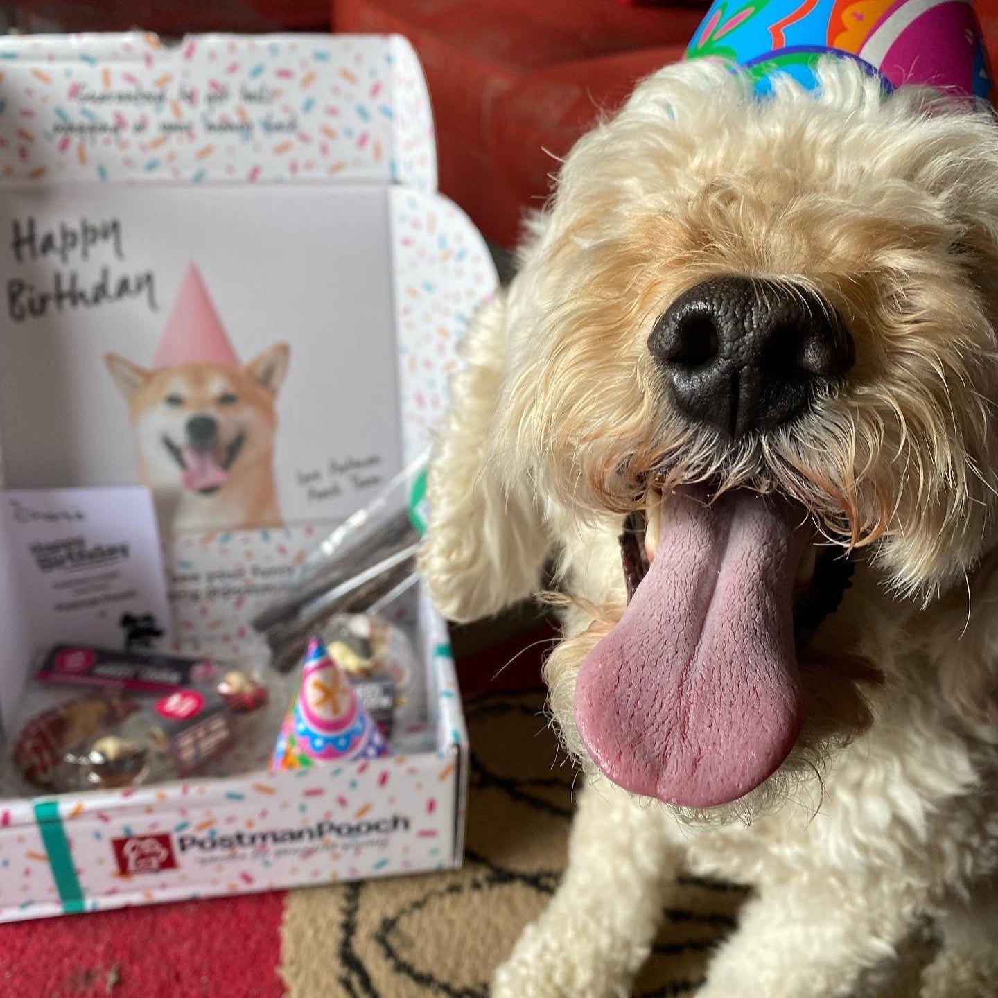 Dog Birthday Box