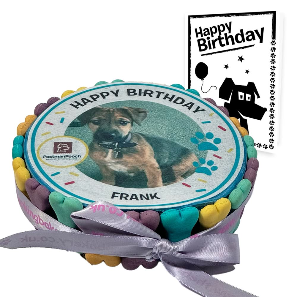 Personalised Dog Picture Birthday Cake & Card