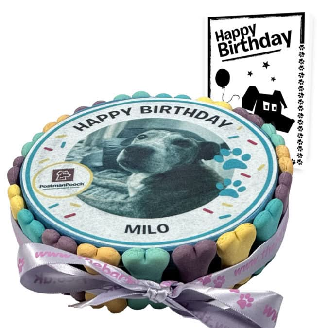 Personalised Dog Picture Birthday Cake & Card