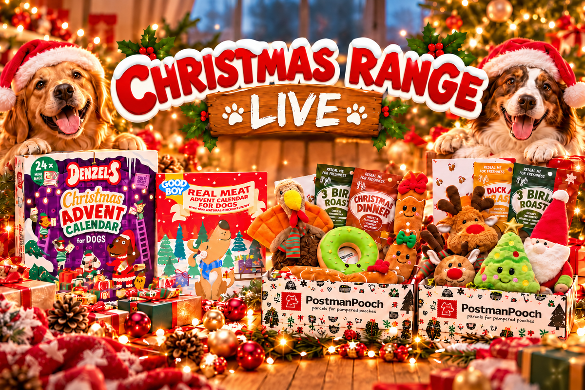 Dog Christmas Gifts