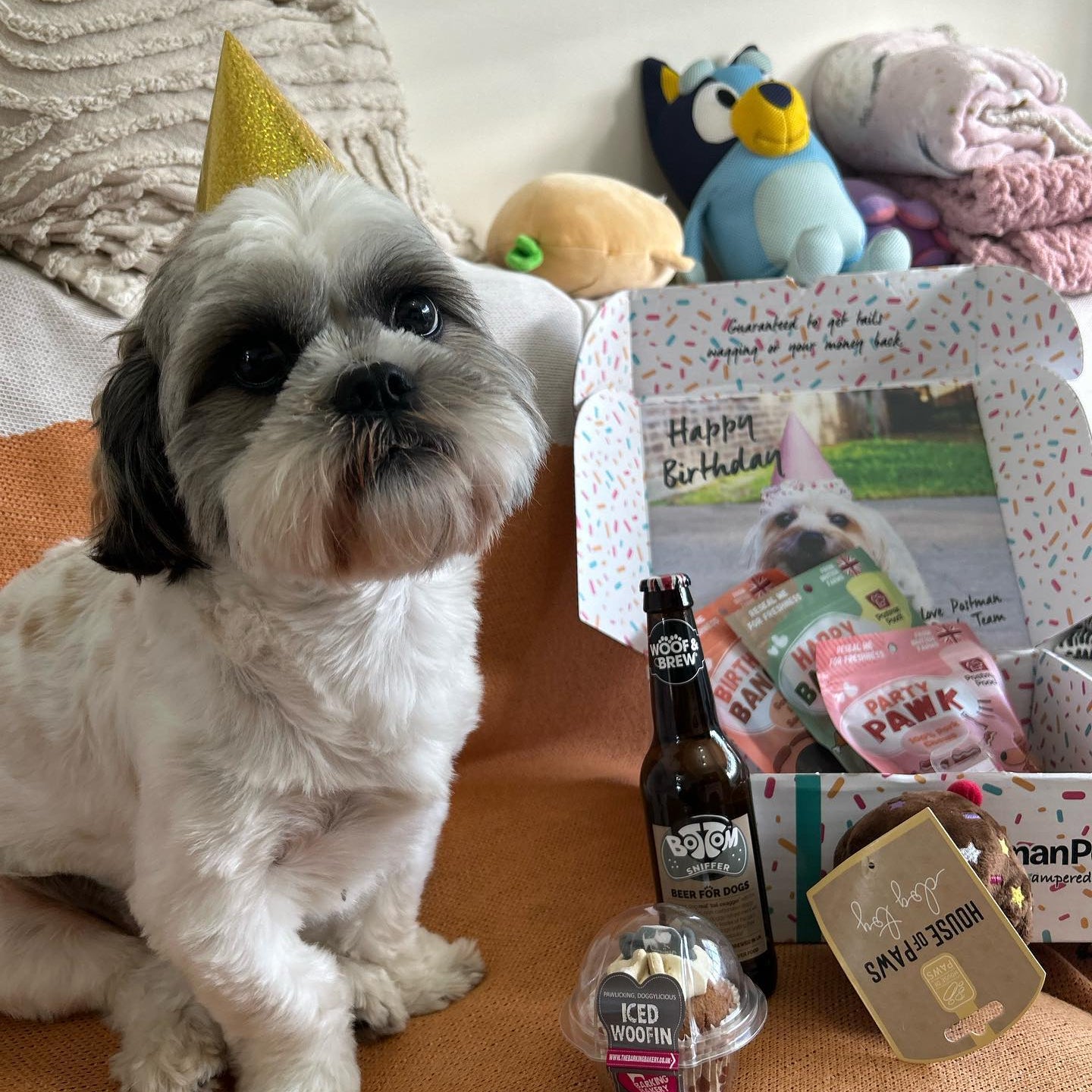 Dog Birthday box