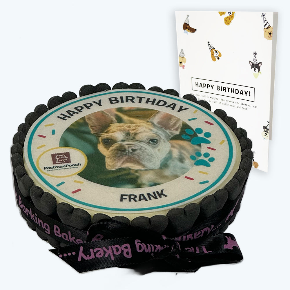 Dog Birthday Cake