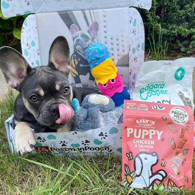 Dog subscription Boxes